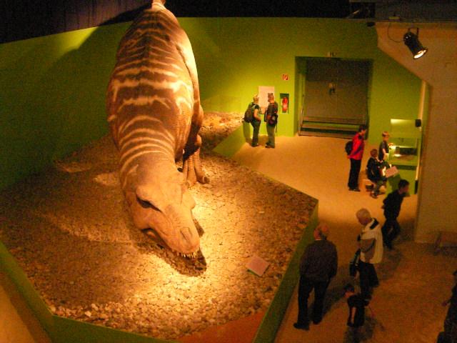 LV Zeltlager 2008 466.jpg